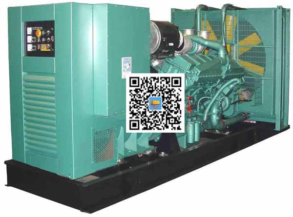 临江笼型异步发电机的电力电子控制技术